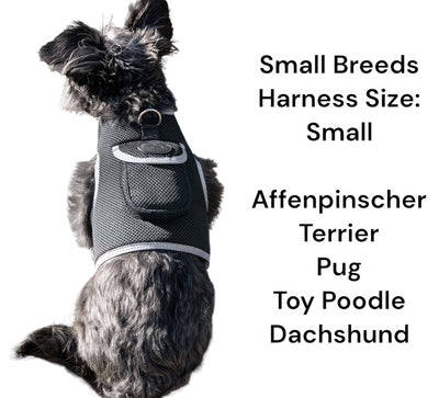 Pet Tracker Mini GPS Dog Tracking Device Made from Pet-Friendly Materials Size: S