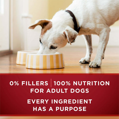 Purina ONE Tender Cuts Real Turkey &amp; Venison Wet Dog Food 13 oz Can