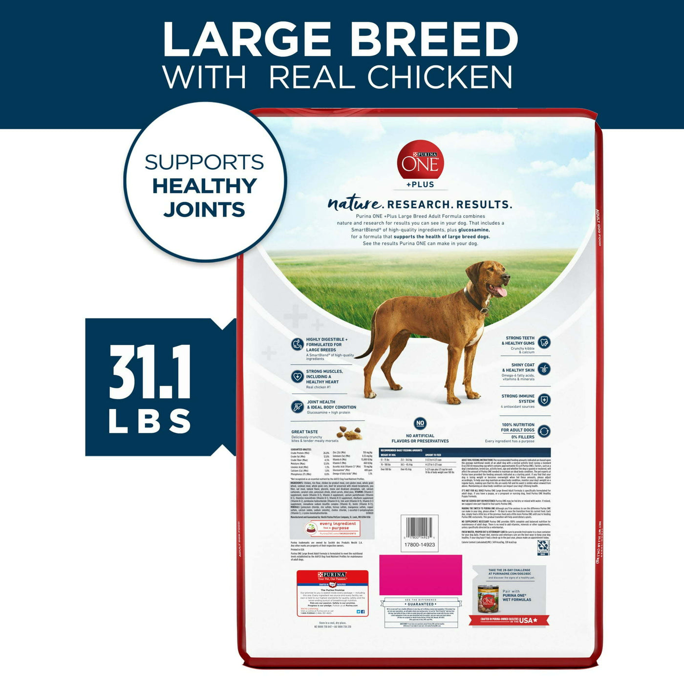 Purina ONE Plus Large Breed Adult Dog Food Dry Formula