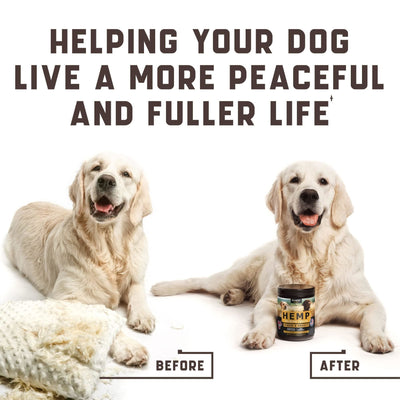 Calming Chews for Dogs with Hemp Oil Aid During