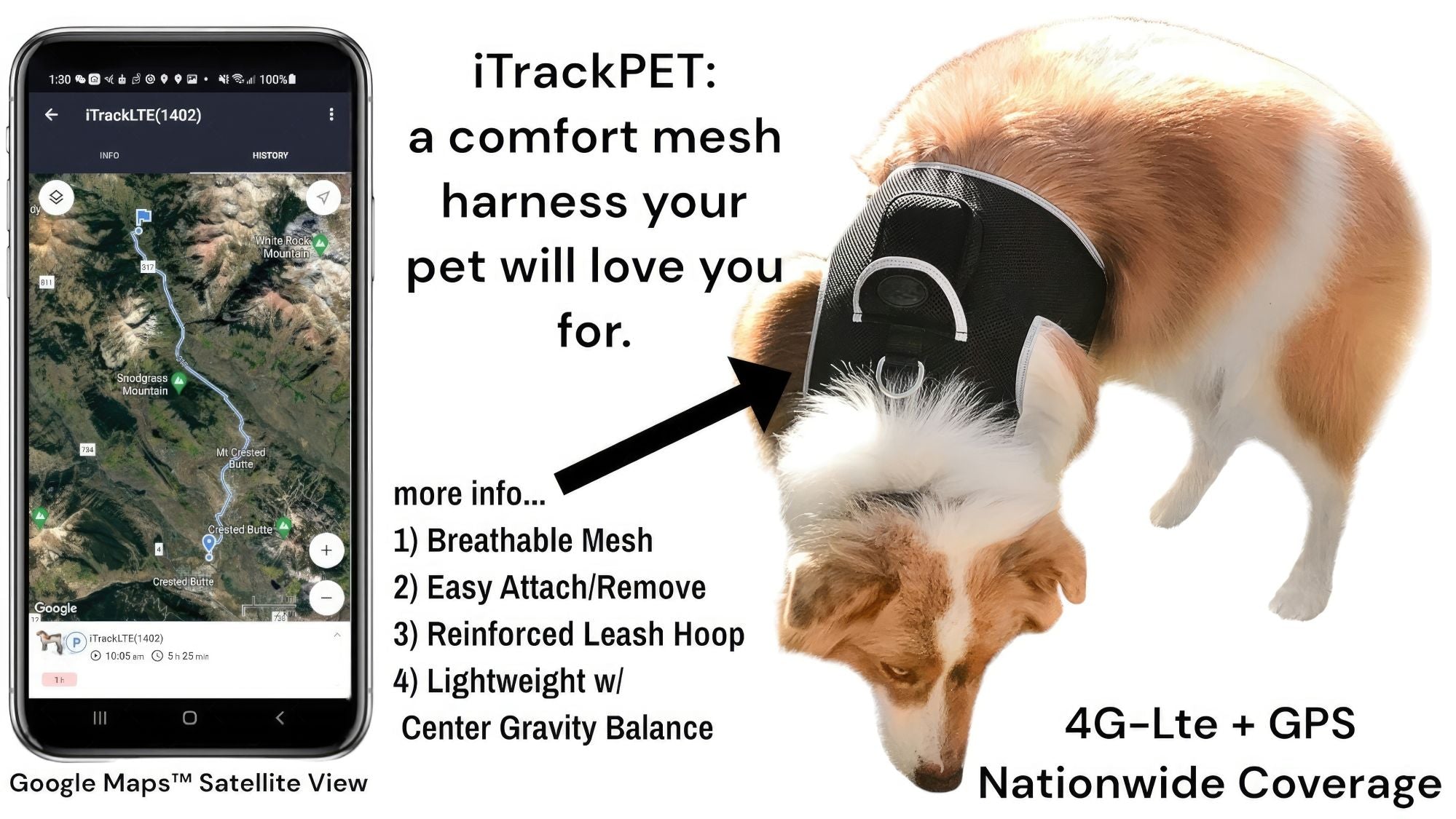 Small Pet Tracker Cat Dog Lost Detector Security GPS Tracking Device Size:M