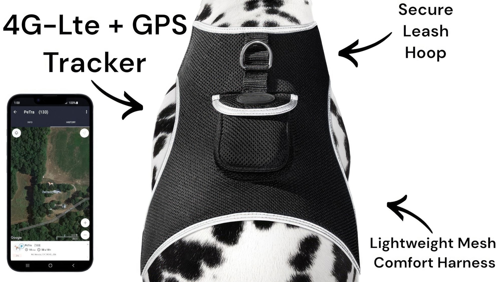 Wireless GPS Pet Chip Tracker for Realtime Pet Surveillance Security Size:XL