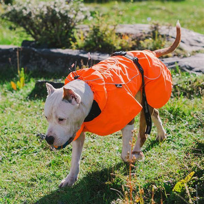 Dog Coats Small Waterproof,Warm Outfit Clothes Dog Jackets Small,Adjustable Drawstring Warm And Cozy Dog Sport Vest-(orange, size 2XL))