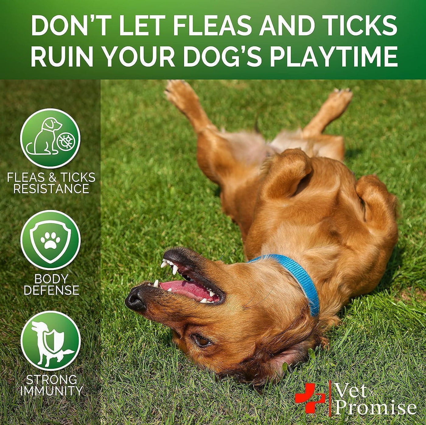 2 Pack Flea and Tick Prevention for Dogs