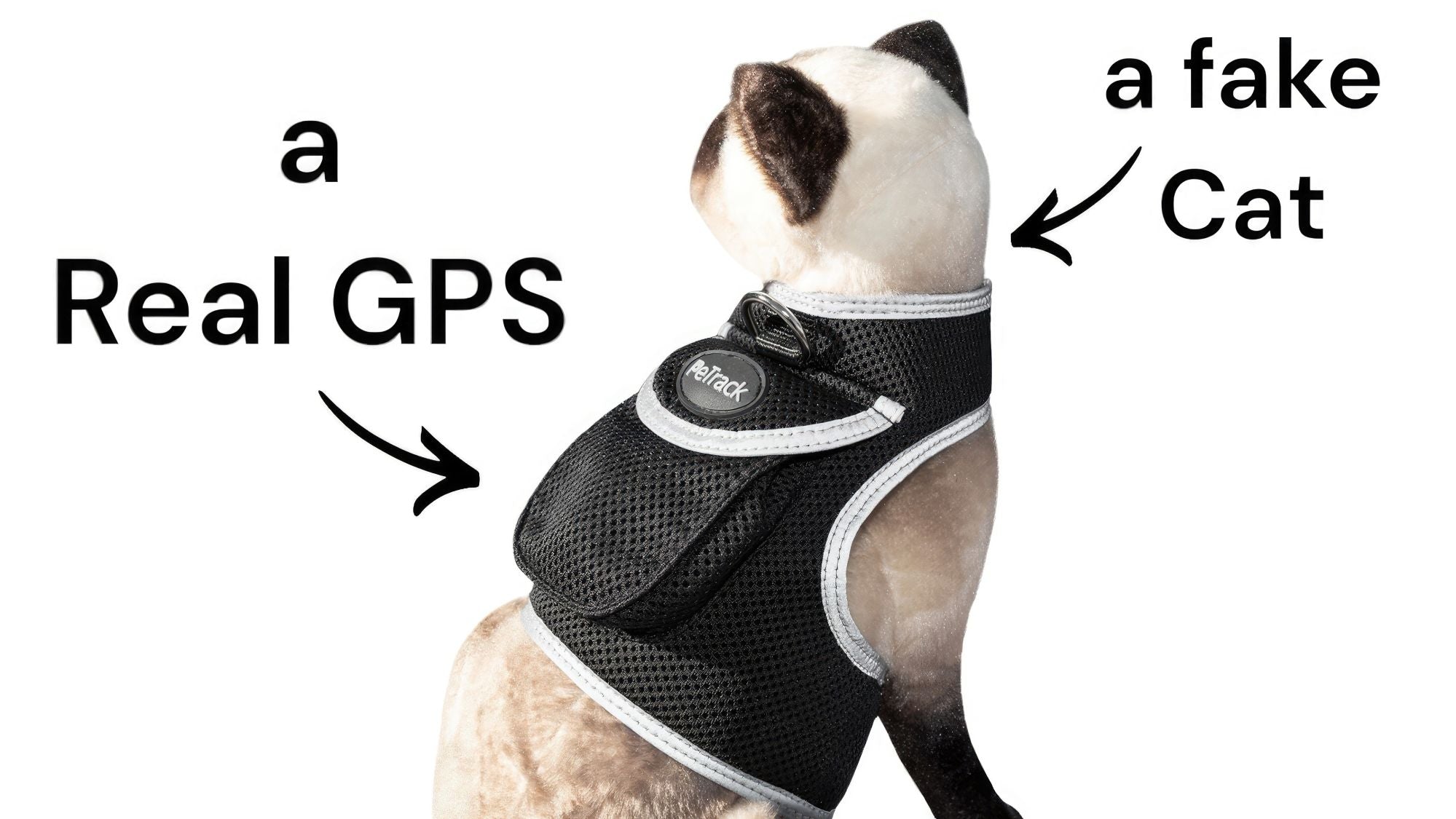 Wireless GPS Pet Chip Tracker for Realtime Pet Surveillance Security Size:XL