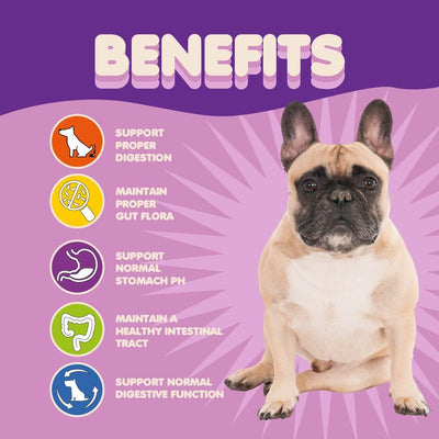 Probiotics for Dogs & Puppies Extra Strength 9 Species 5 Billion CFU per Scoop of Dog Probiotics and Digestive Enzymes for Dogs Support Fiber for Dogs  Dog Allergy Relief Powder Probiotic for Dogs