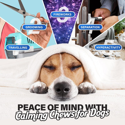 Calming Chews for Dogs Dog Anxiety Relief Promote Relaxation