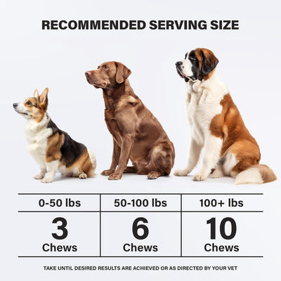 Calming Chews for Dogs Dog Anxiety Relief Promote Relaxation