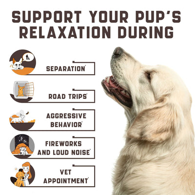 Calming Chews for Dogs with Hemp Oil Aid During