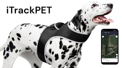 Pet Tracker Mini GPS Dog Tracking Device Made from Pet-Friendly Materials Size: S