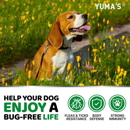 Flea and Tick Prevention for Dogs Chewables 170 Treats Natural Dog Flea and Tick Treatment All Breeds &amp; Ages Made in USA