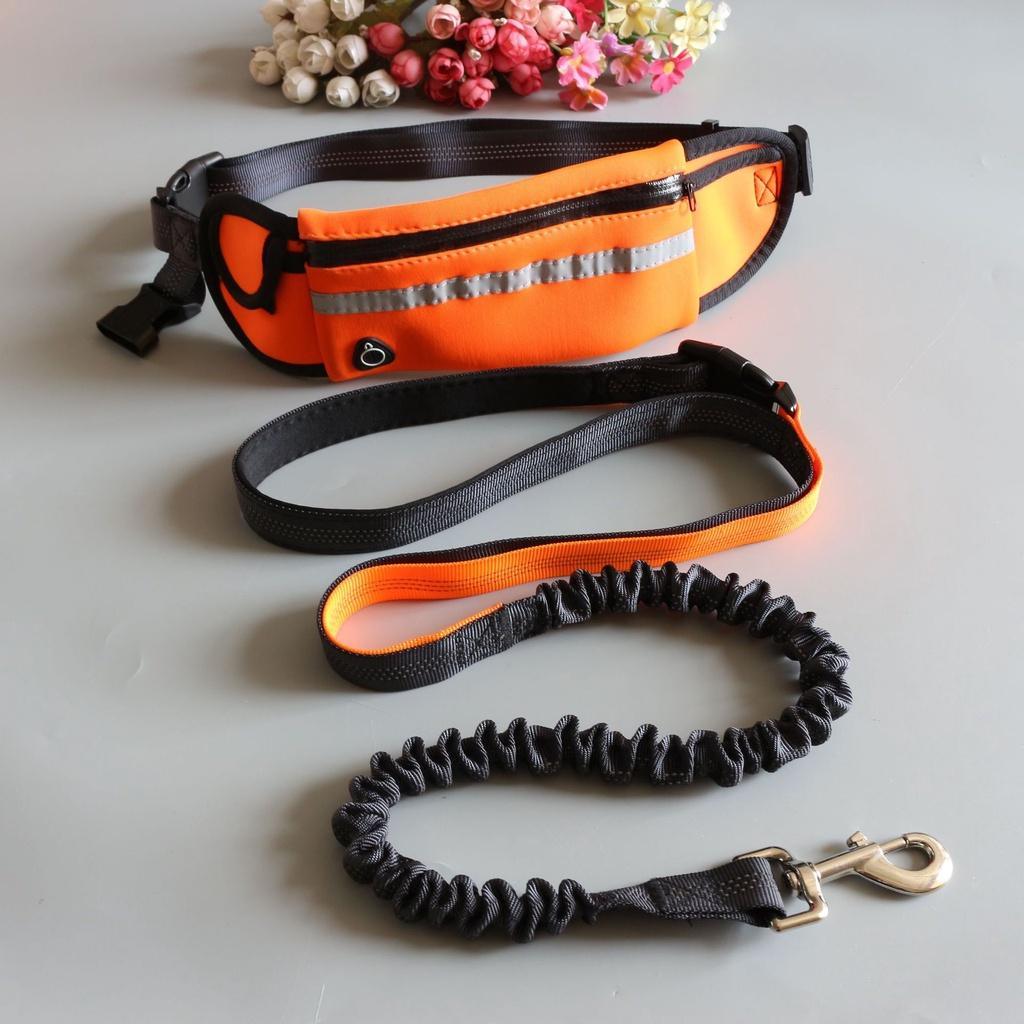 Newest Reflective Pet Leash Elastic Hand Free Jogging Dog Traction Rope Running Waist Pack Leashes Loop Retractable D-Ring Leash