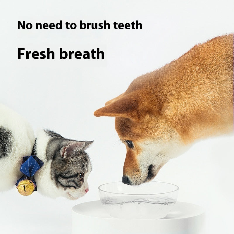 Pet Mouthwash Care Healthy Teeth